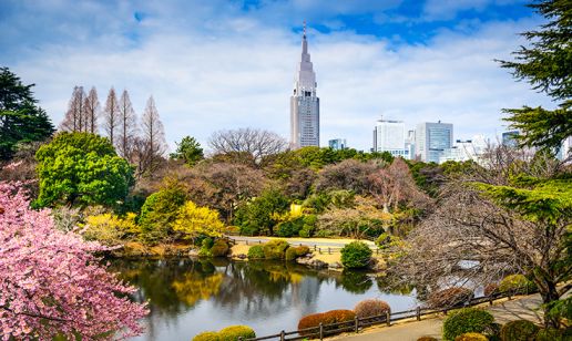 Explore Autonomous Networks and AI Solutions with Comarch at Interop Tokyo 2025