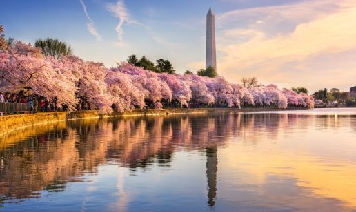 The Road to E-Invoicing Mandate in the United States &ndash; Part Two